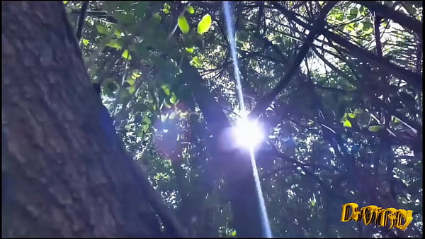 DORN loves easter (COMPLETO NO RED)