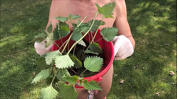 naked pathetic slave in penis cage outdoor nettle sounding and treatment
