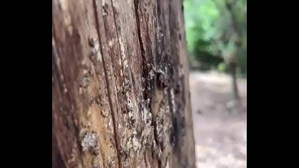 Boy caught peeing in the woods